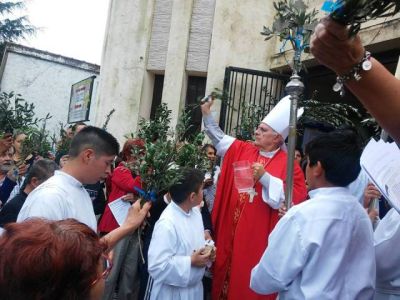 El Domingo de Ramos en las parroquias